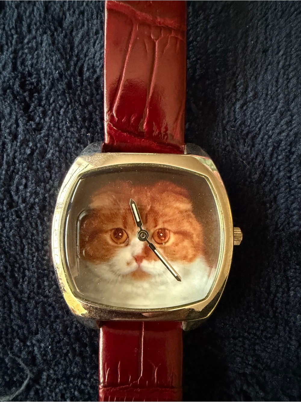 Scottish Fold Cat Watch- Unbranded - Picture 2 of 5